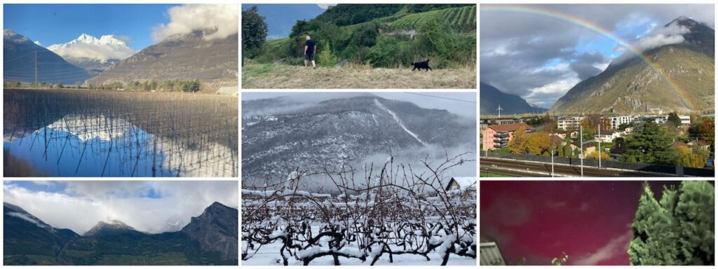 collage of Valais  Alps pictures in all seasons