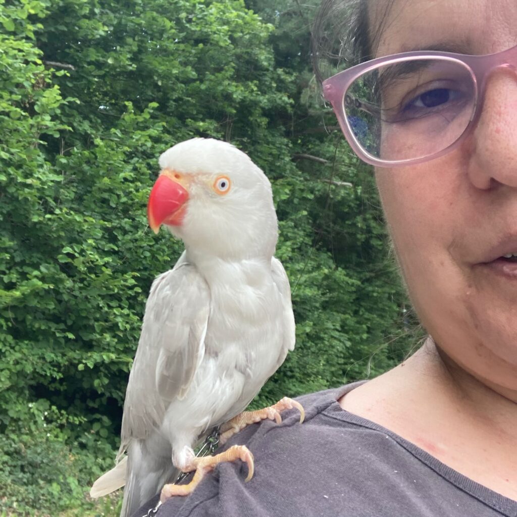 half picture of me a caucasian woman with glasses and from the grey parakeet on my shoulder