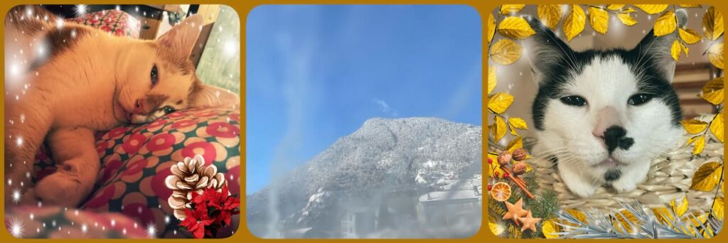 collage of 2 pictures of cats and a picture of white mountain and blue sky in the middle