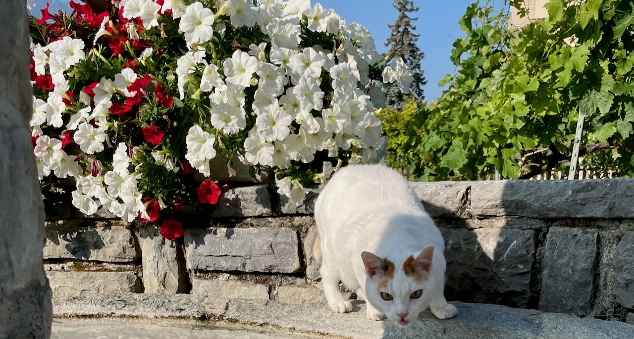 Les filtres UV ça marche!