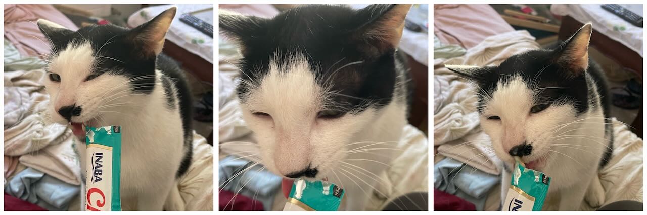 Les 10 sourires du lundi #2