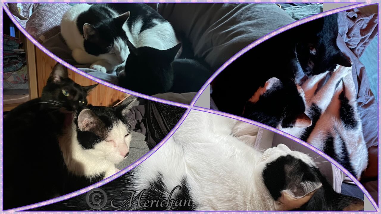 On ose encore se souhaiter bonne année?